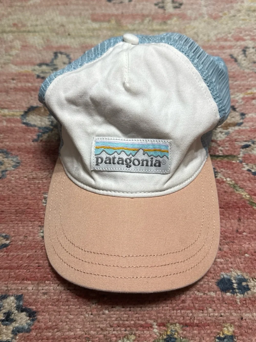 Patagonia Trucker Hat